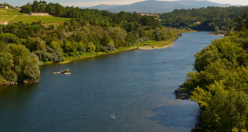 An image of the longest river in Jamaica: Rio Minho